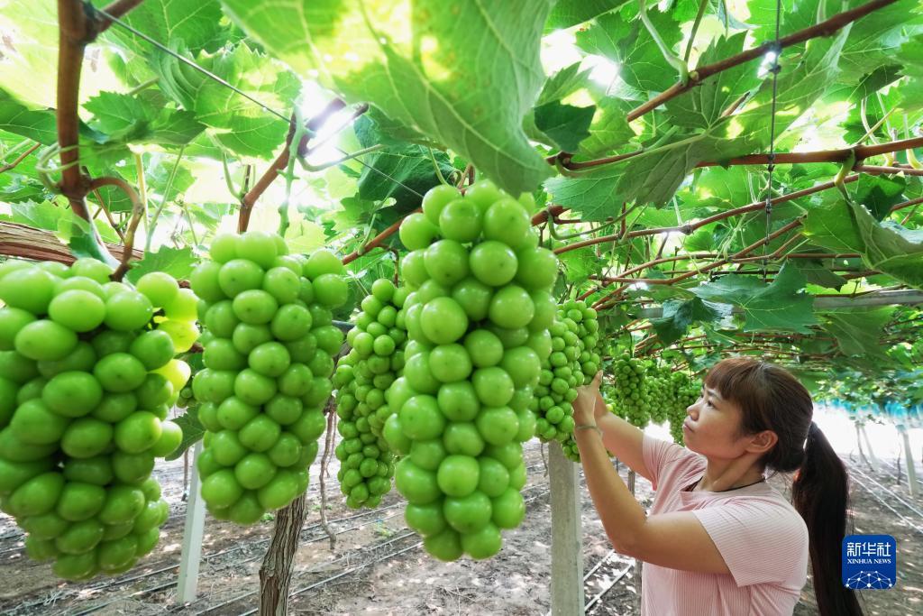 天盛娱乐