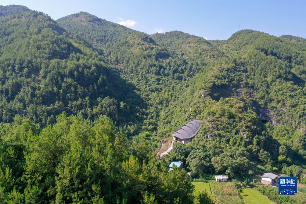 威廉立博初赔一致